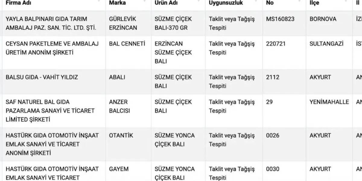 yeni-proje-4.jpg