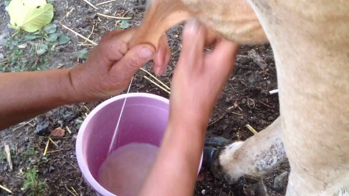 yeni-proje-2025-01-28t093913-465