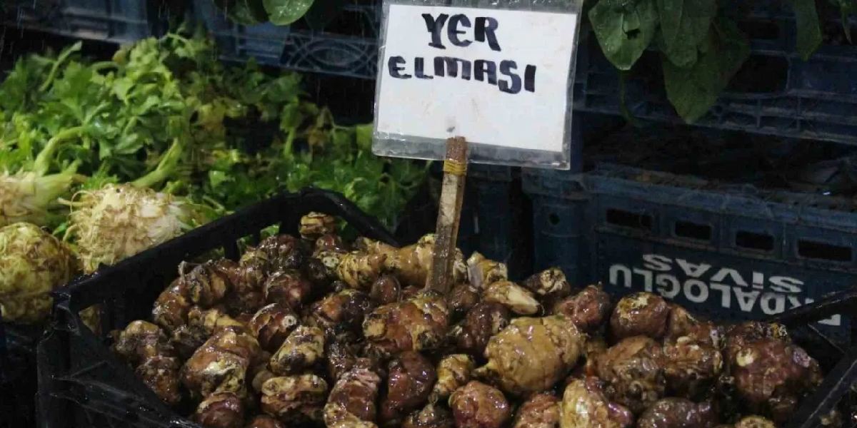 sivasta-yer-elmasi-yetistiren-2.jpg