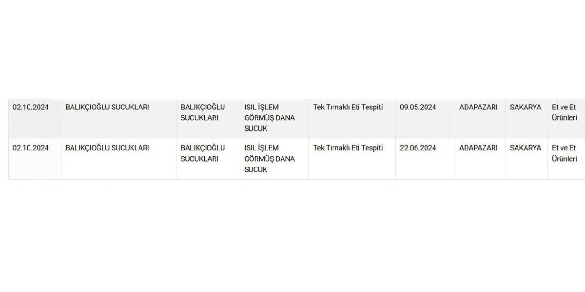 yeni-proje-16.jpg