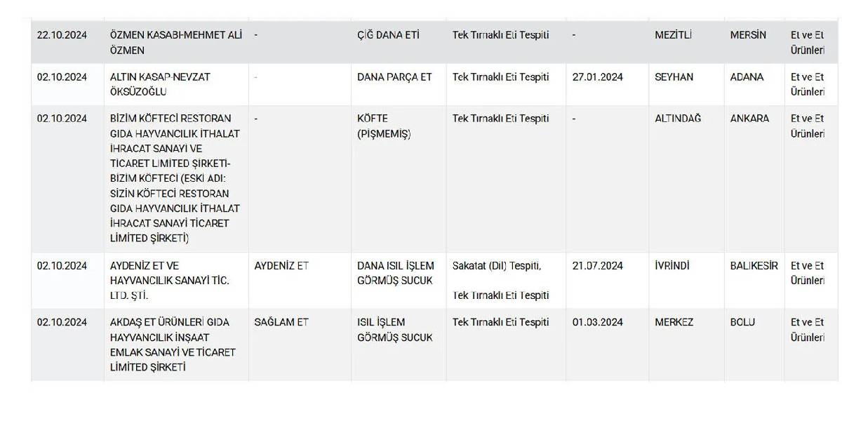 yeni-proje-18.jpg