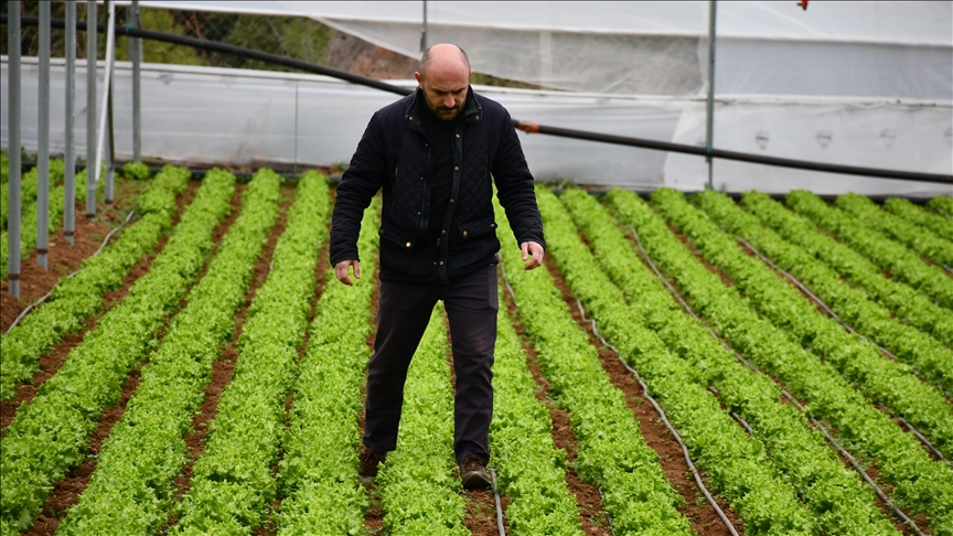 whatsapp-image-2025-02-05-at-08-18-32-2