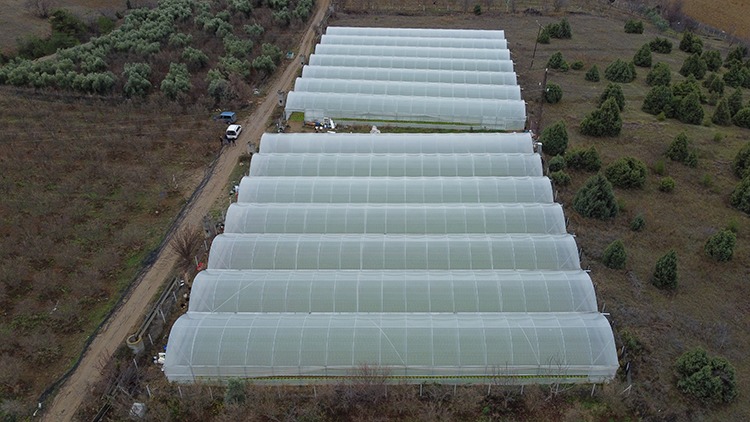 whatsapp-image-2025-02-05-at-08-18-32