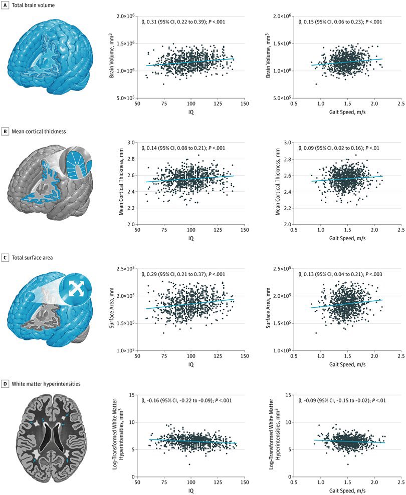 whatsapp-image-2025-02-05-at-13-21-07