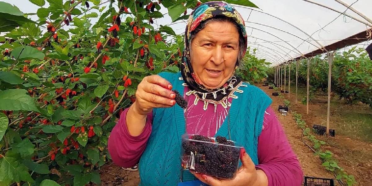 yeni-proje-26.jpg