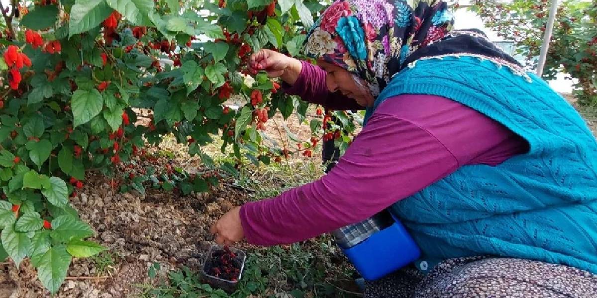 yeni-proje-29.jpg