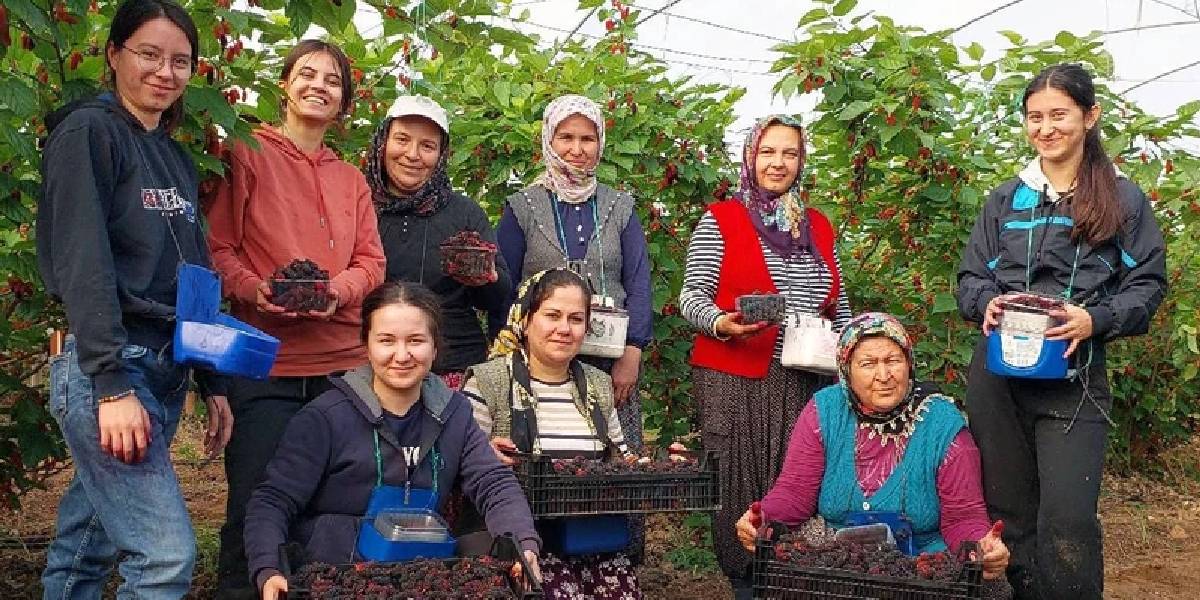 yeni-proje-30.jpg