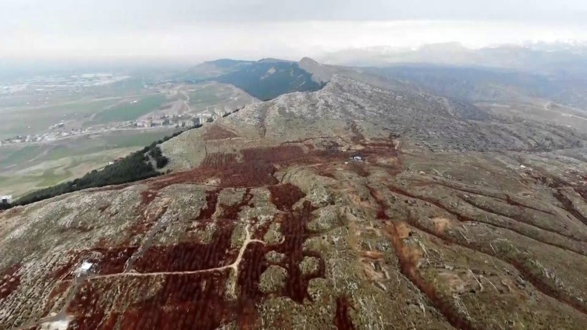 indere.jpg