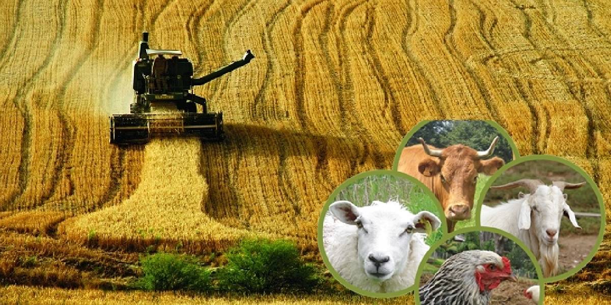 yeni-proje-1.jpg