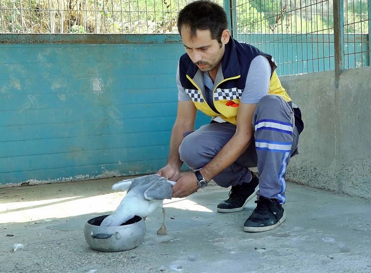 istanbul-buyukcekmece-son-dakika-haberleri-2.jpg