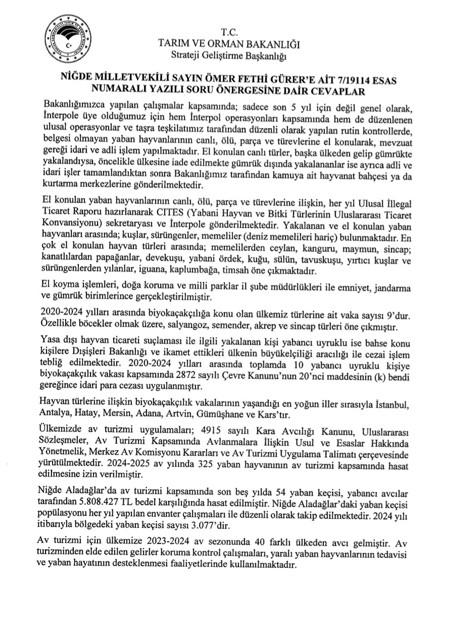 screenshot-13.jpg