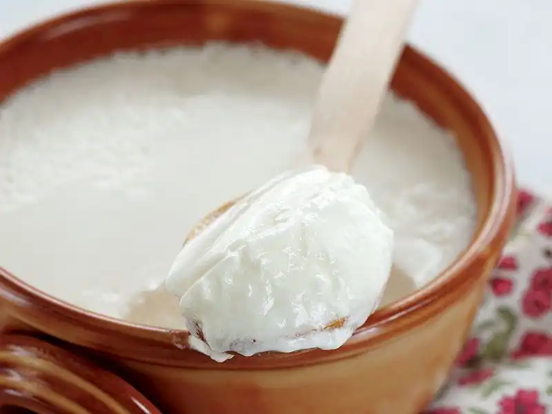 ev-yapimi-yogurt-82236358-03bf-4215-bece-ef471ae2505e-jpg.webp