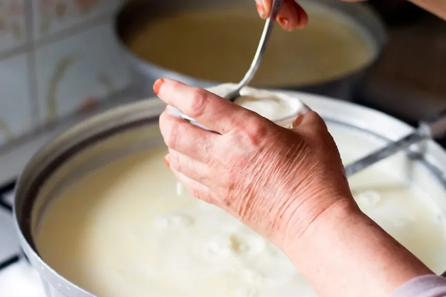 image-870x580-67ac8bb0d7f31.webp