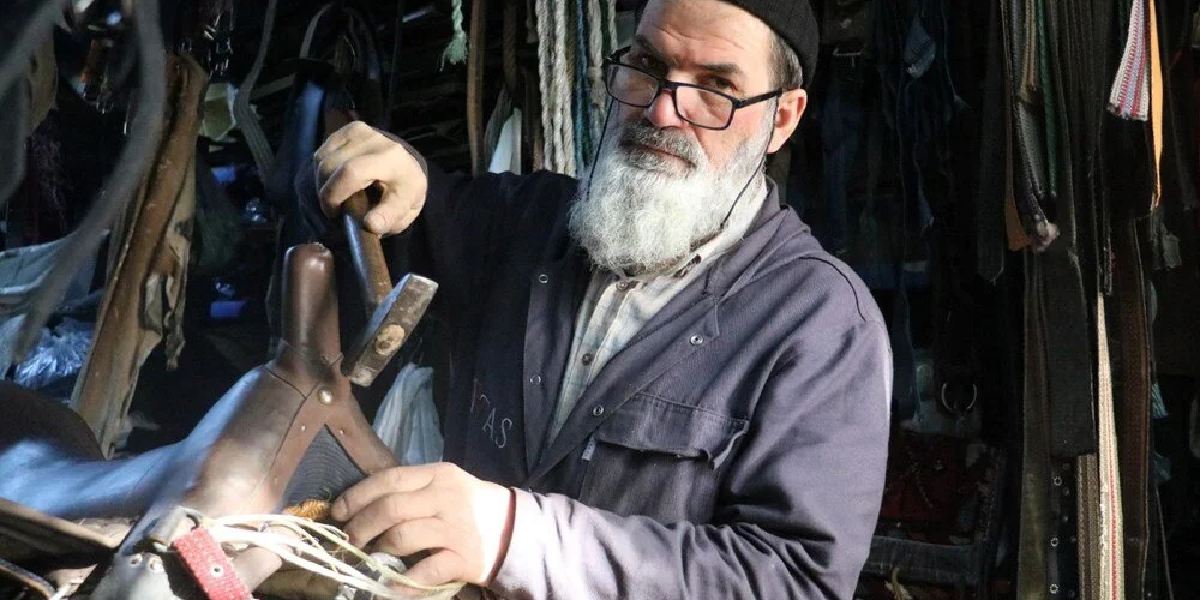 sivasta-saraccilik-1.jpg