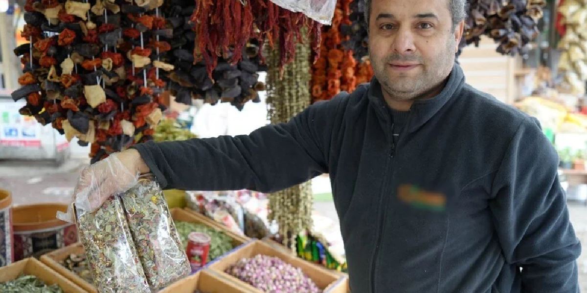 ihlamur-fiyatlari-1.jpg