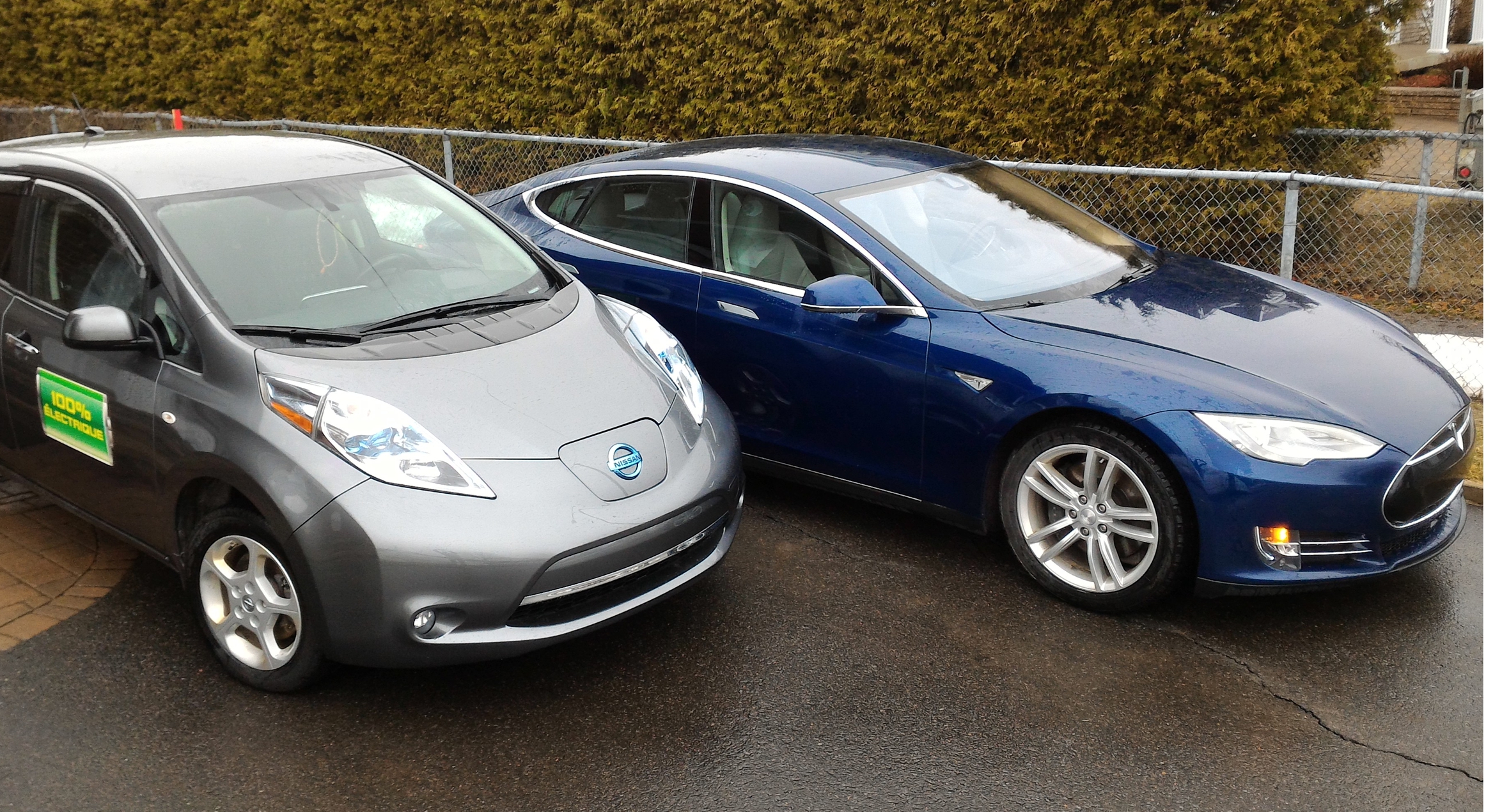 leaftesla-001.jpg