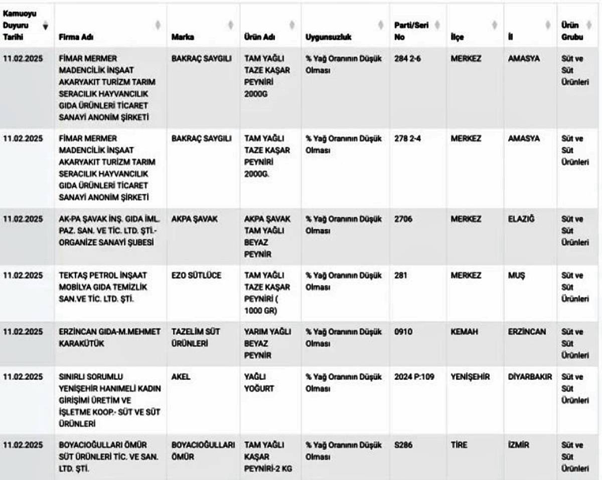 taklit-tagsis-listesi-2025-5.jpg