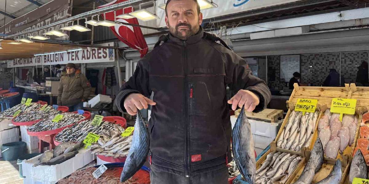 yeni-proje-8.jpg