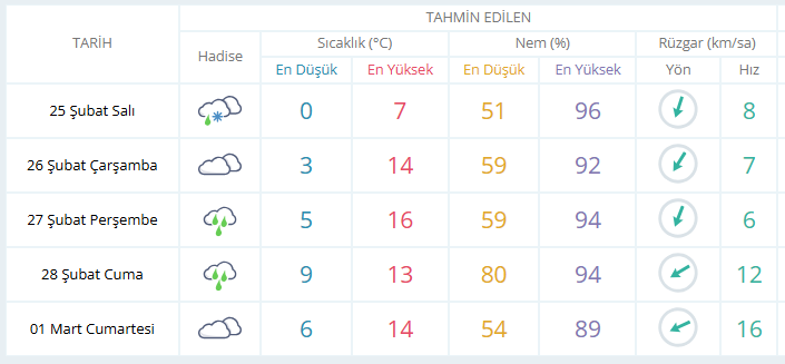 zx.png