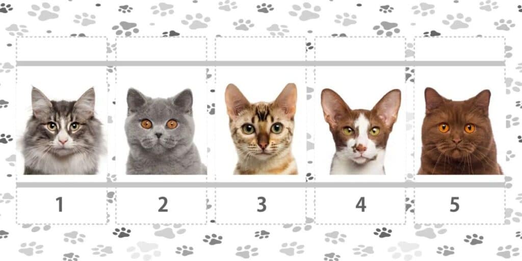 personality-test-abm-20-1024x512.jpg
