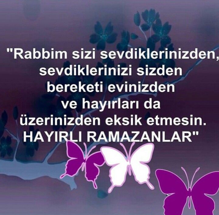 whatsapp-image-2025-03-01-at-13-35-53.jpeg