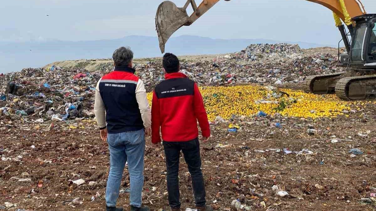 yeni-proje-kopyasi.jpg