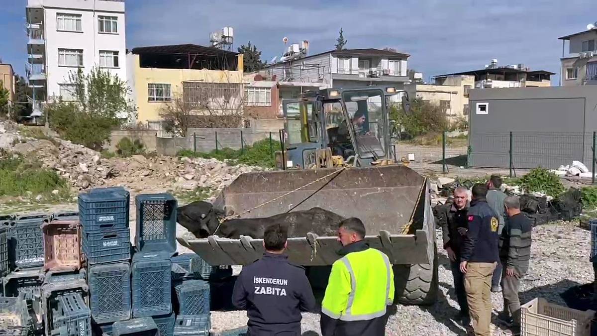 hatay-iskenderun-son-dakika-haberleri-8