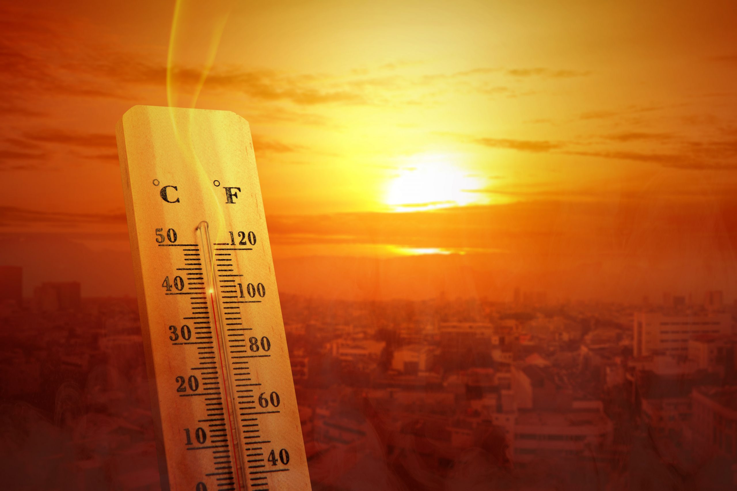 heatwave-scaled.jpg