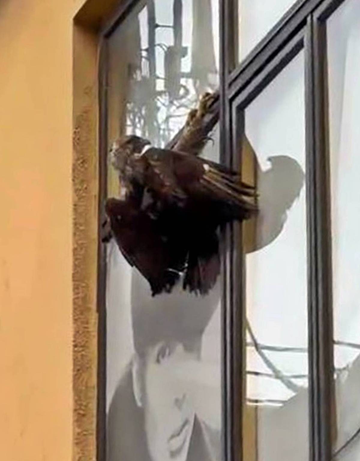 artvin-son-dakika-haberleri-1