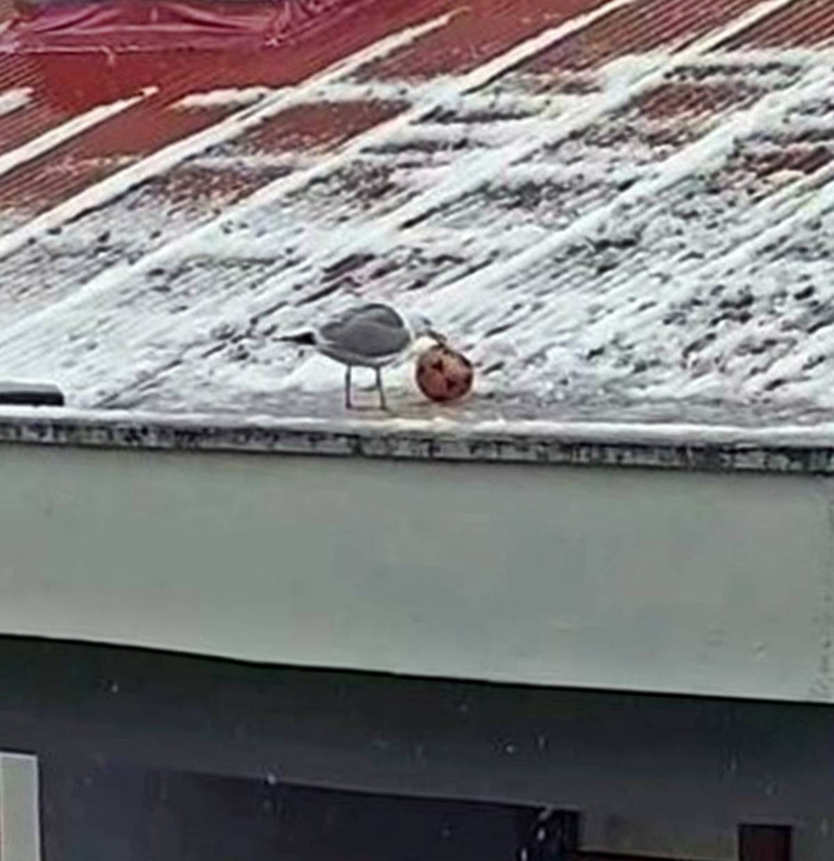 artvin-son-dakika-haberleri-2