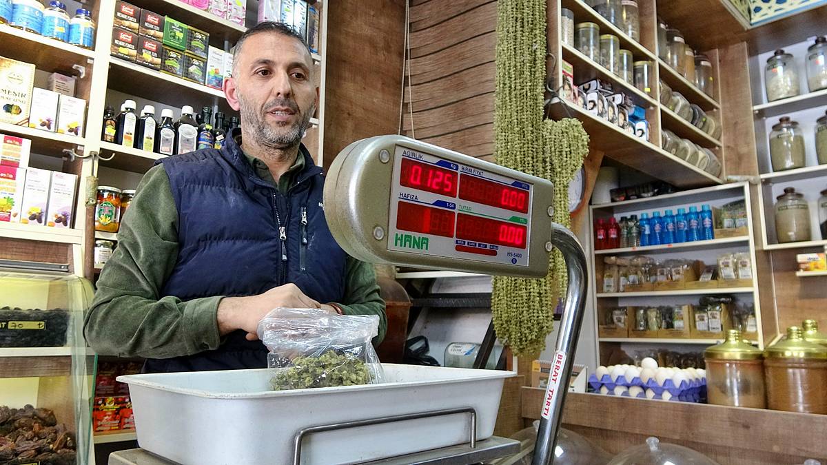 kuru-bamya-fiyati-ne-kadar-sagliga-faydalari-neler-kuru-bamya-fiyati-ne-kadar-2