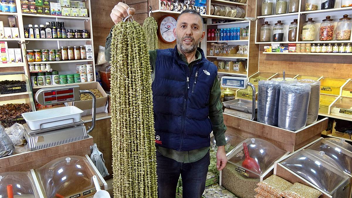 kuru-bamya-fiyati-ne-kadar-sagliga-faydalari-neler-kuru-bamya-fiyati-ne-kadar-3