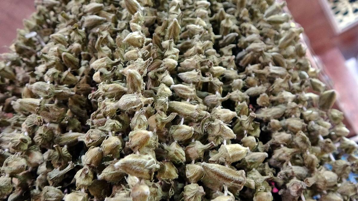 kuru-bamya-fiyati-ne-kadar-sagliga-faydalari-neler-kuru-bamya-fiyati-ne-kadar-4