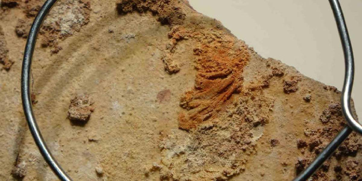 yeni-proje-4-003.jpg