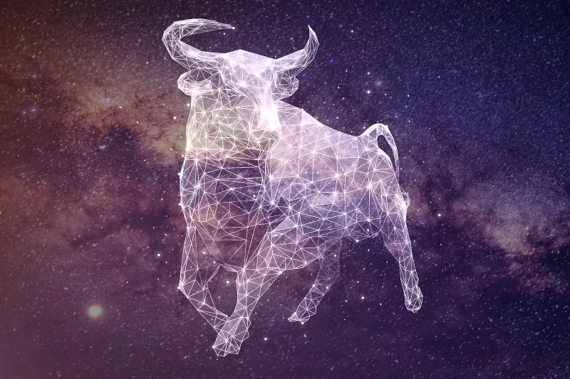 278928-800x533-zodiac-sign-matches-taurus