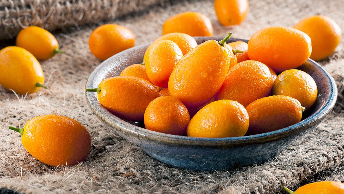 kamkat-receli-kumkat-kumkuat-kumquat-fortunella-altin-portakal.jpg