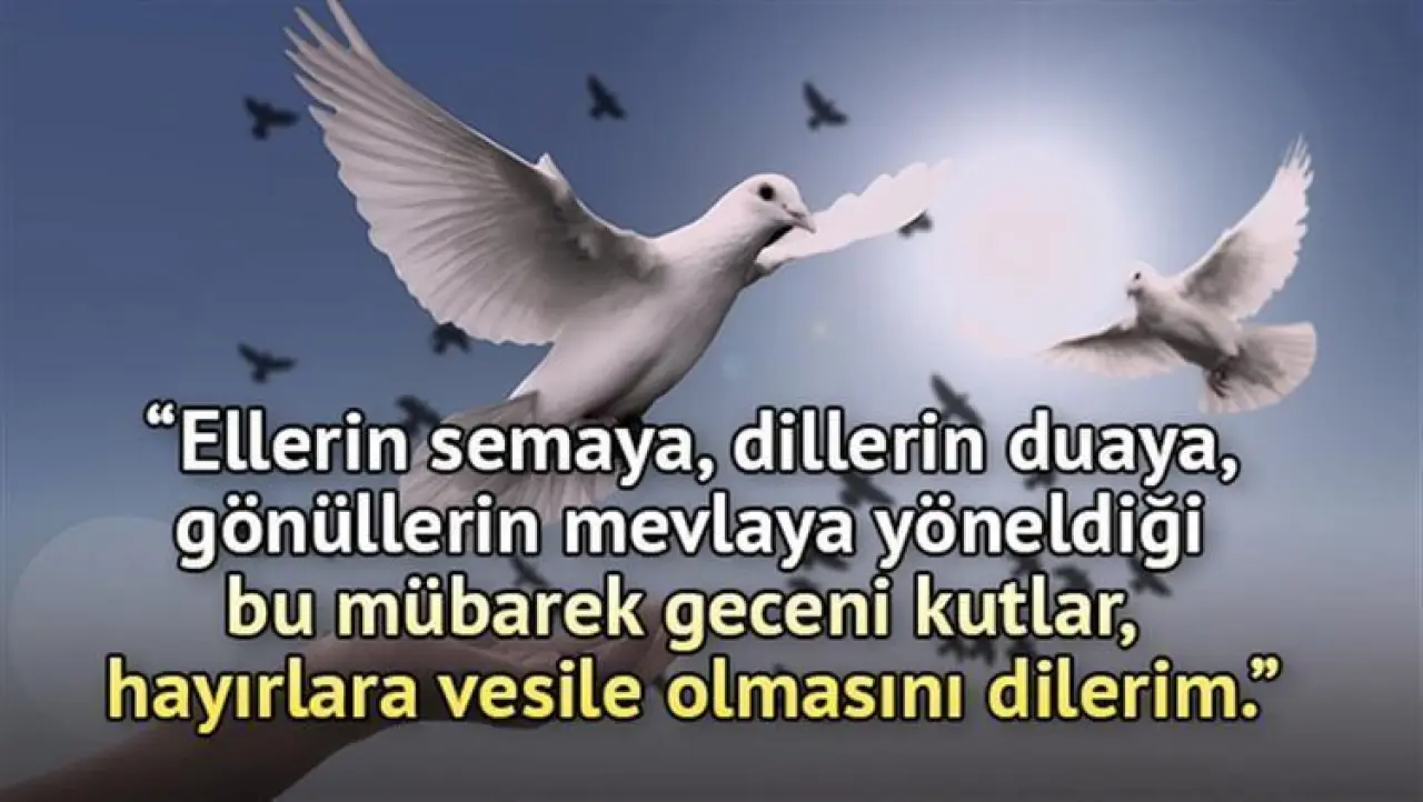 3.webp
