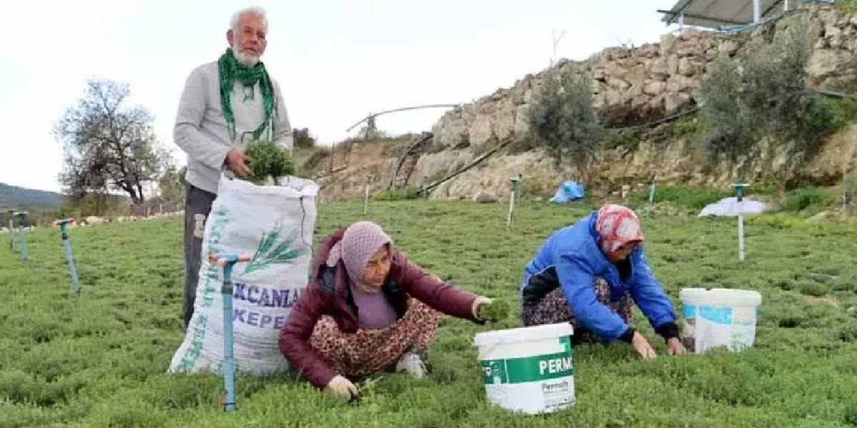 yeni-proje-2.jpg