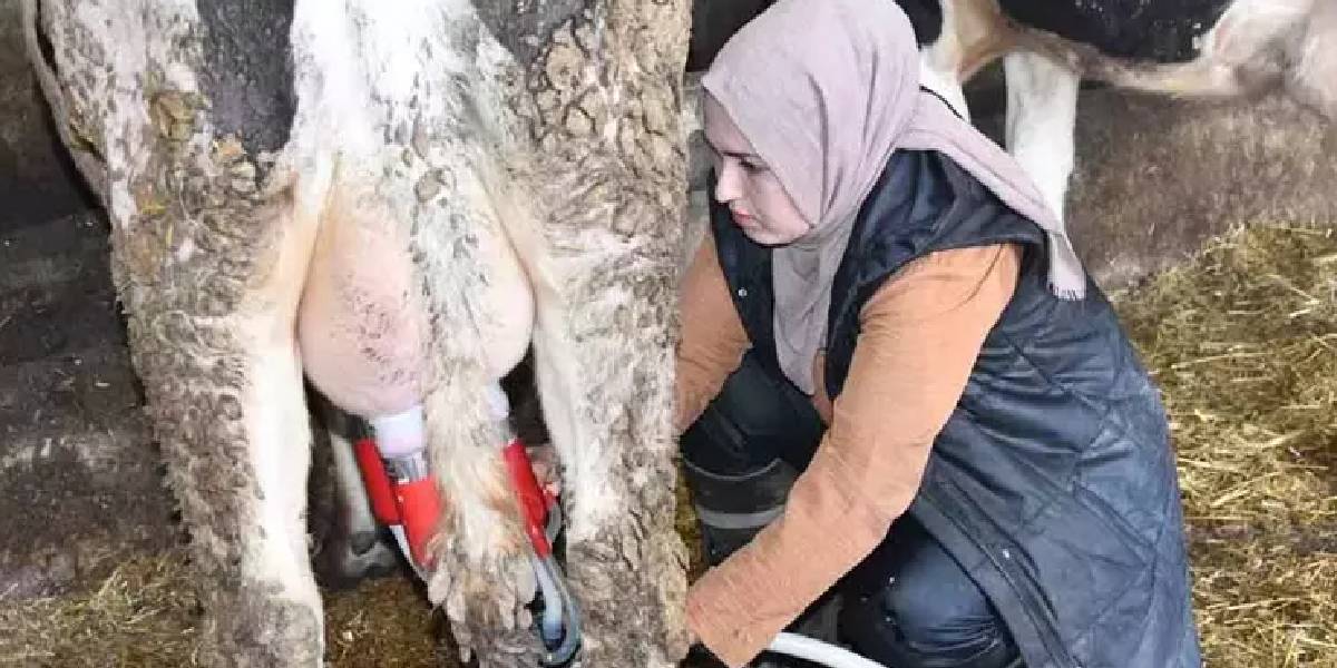yeni-proje-5.jpg