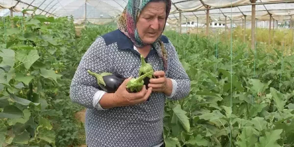 yeni-proje-2-001.jpg