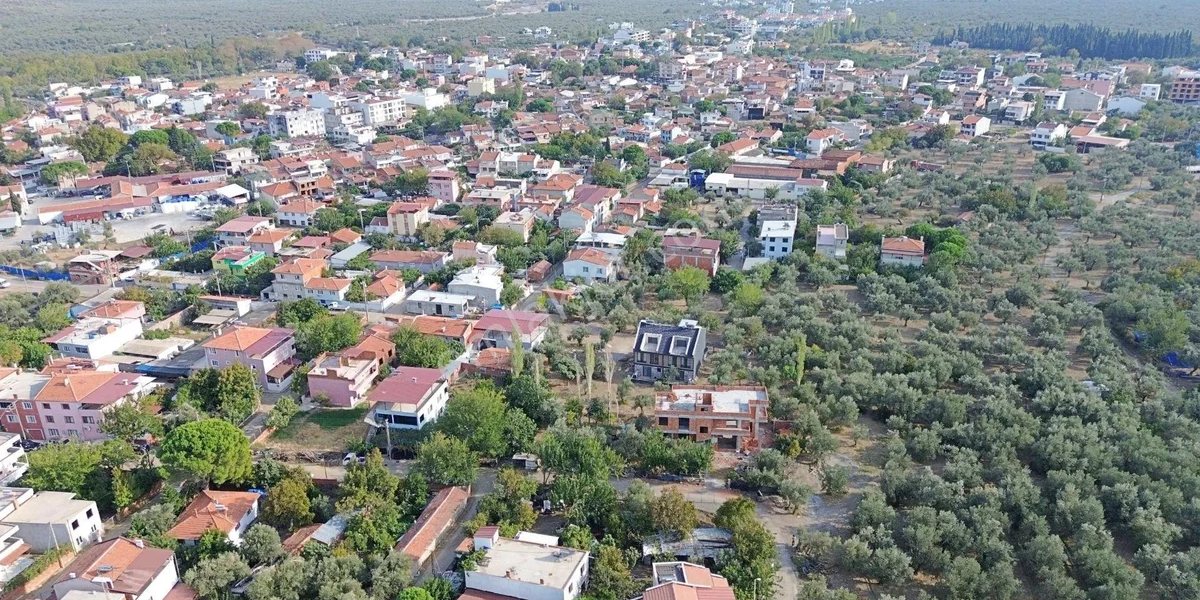 balikesir-zeytinli-1.jpg