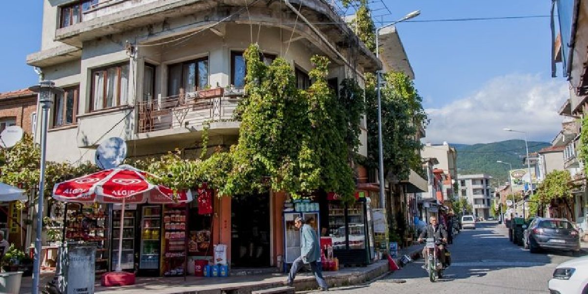 balikesir-zeytinli-2.jpg