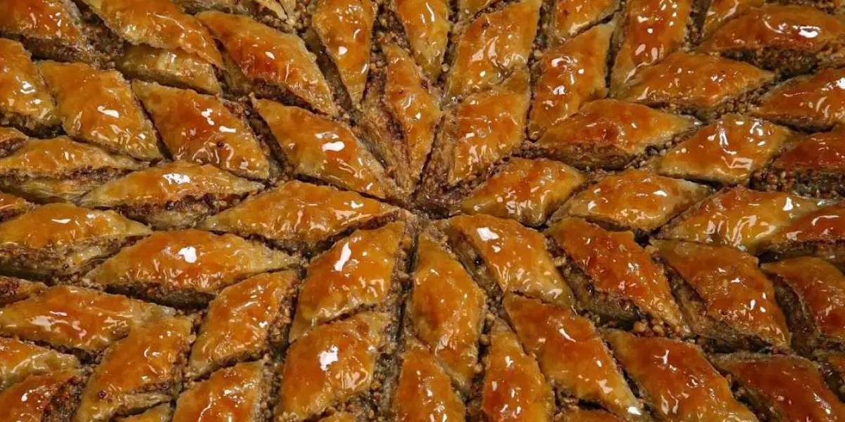 yeni-proje.jpg