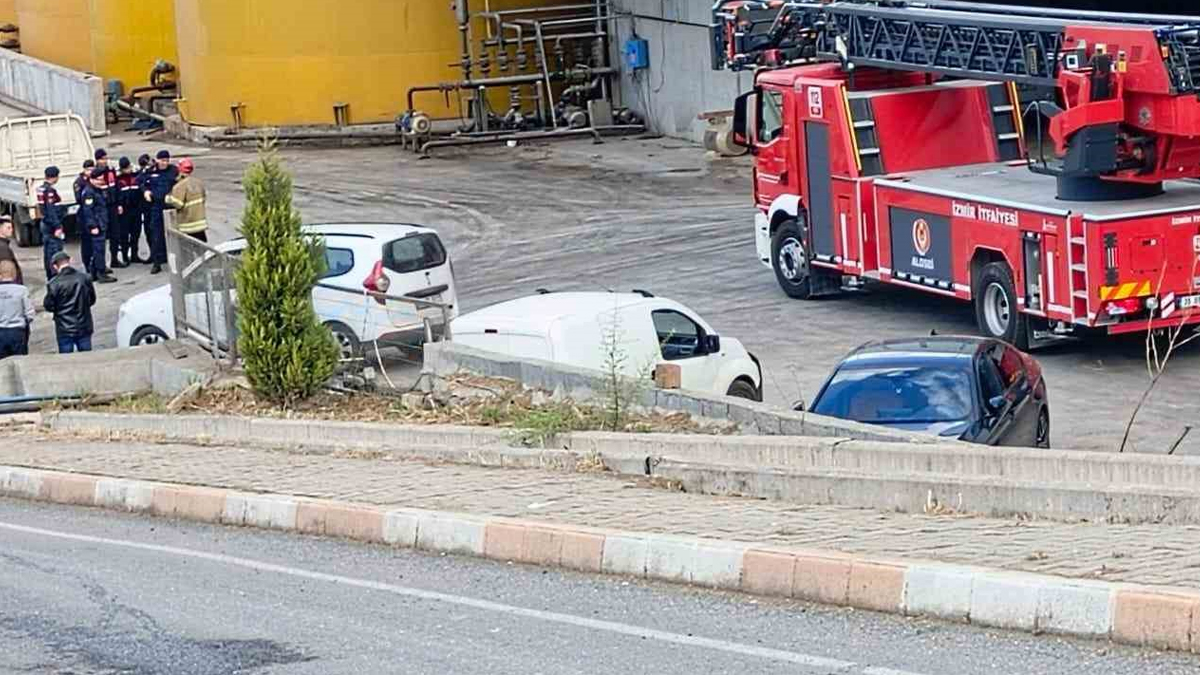 66.jpg