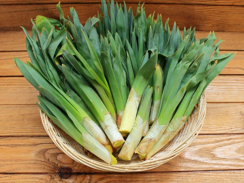 ciris-otu-nasil-pisirilir-kizartma-kavurma-ve-haslama-yontemi-1105ffb4-fdf8-453c-af03-17c0a6cdec61