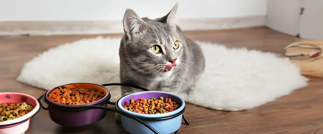 7807f4be28ed4646ba4e5ae7e65340c6