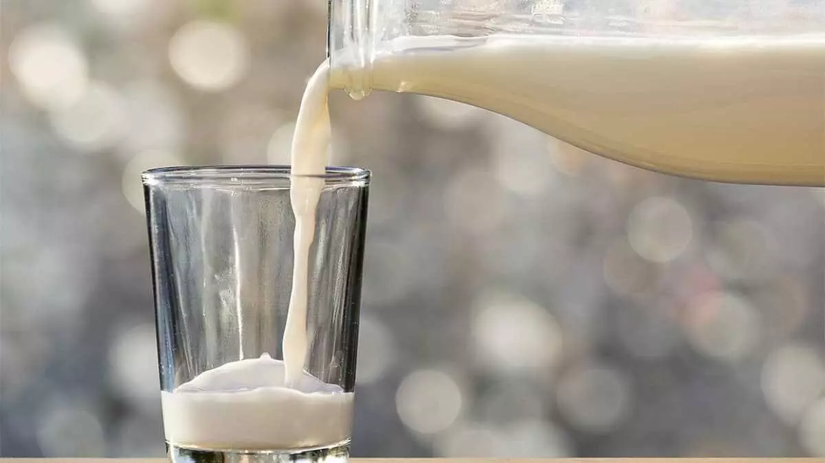 t25-mucizevi-besinsut-gunde-1-678