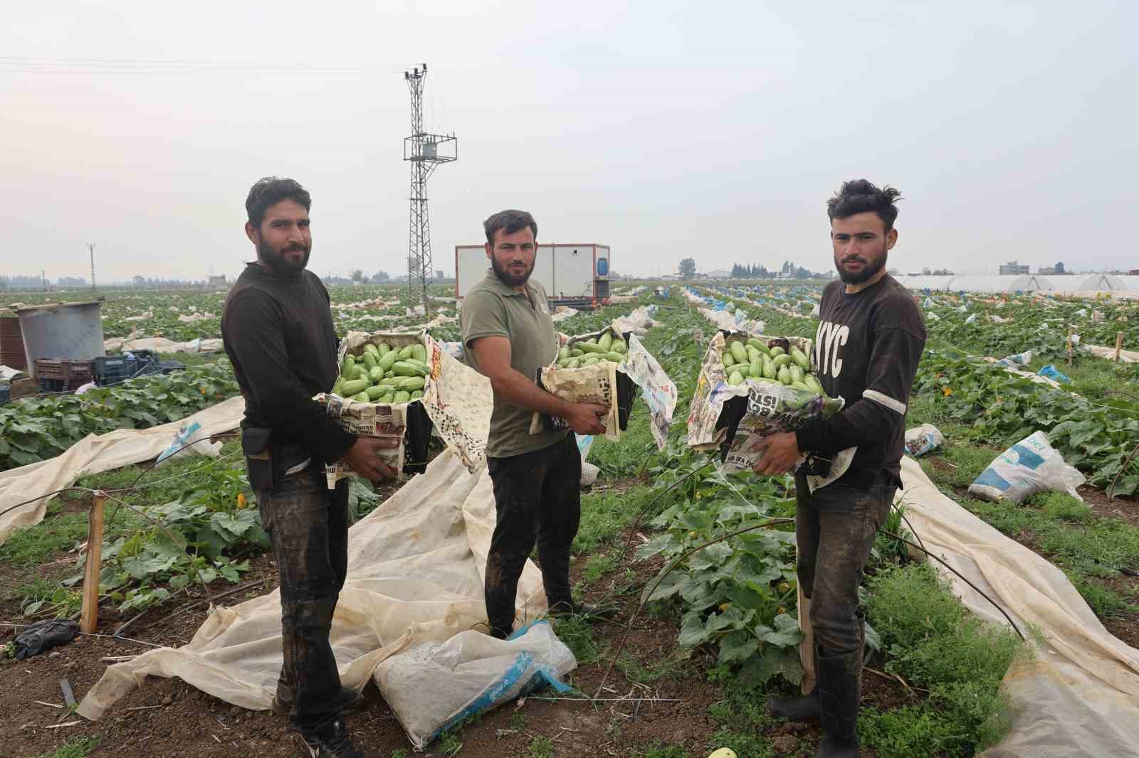 20250403aw425573-8-001