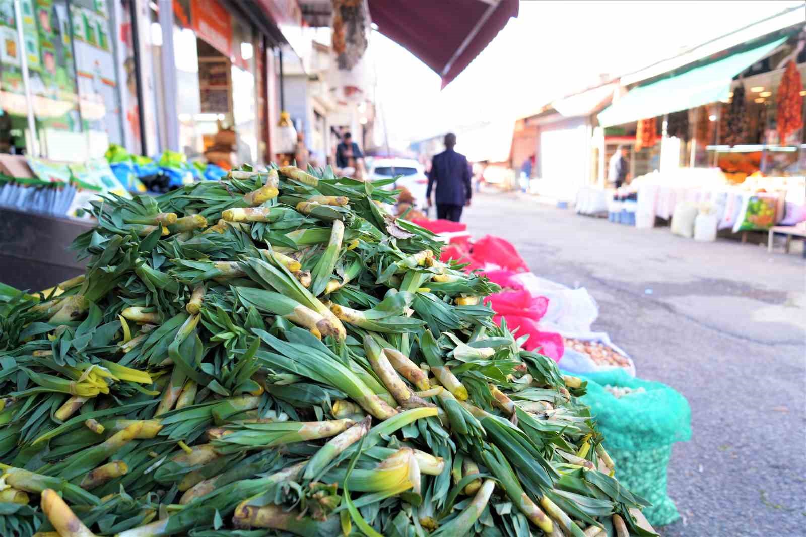 20250404aw426029-11-001