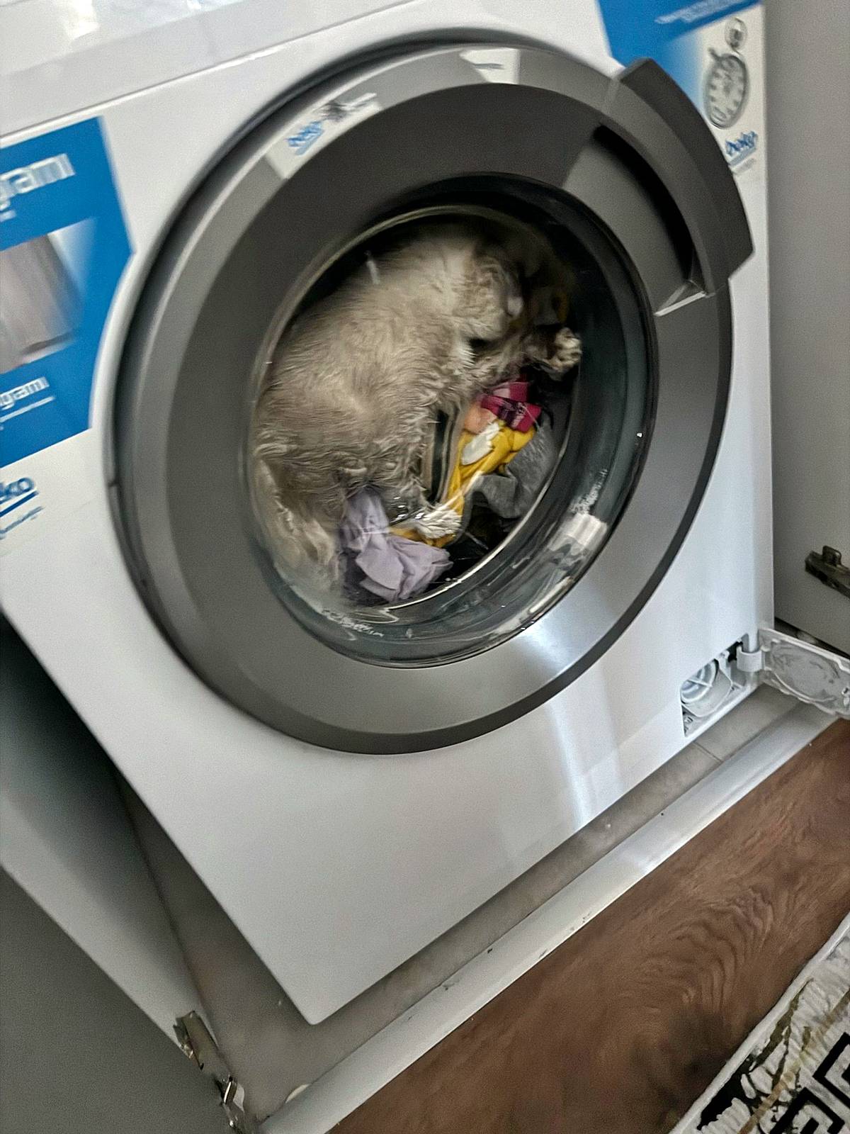 kahramanmaras-onikisubat-son-dakika-haberleri-1